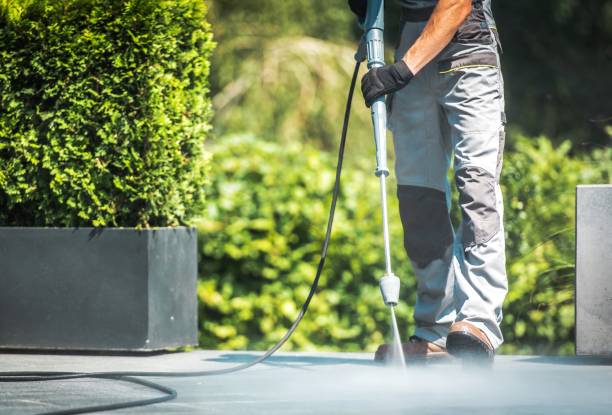 Best Solar Panel Cleaning  in Moores Mill, AL